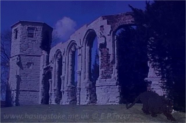 Hoe the beast of Basngstoke might look if seen in the Chapel Hill graveyard at night, image  E.P.Tozer