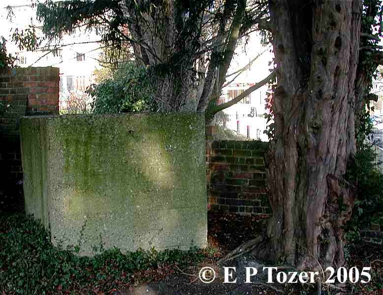 The Basingstoke Canal, image  E.P.Tozer